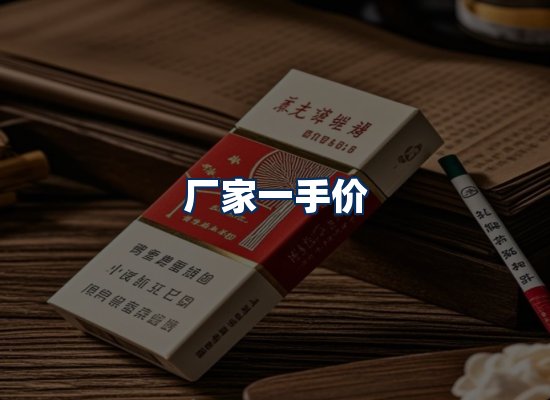 专业团队办公环境